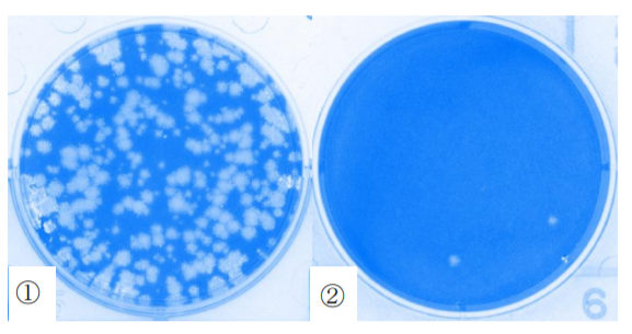 コロナウィルスの不活化