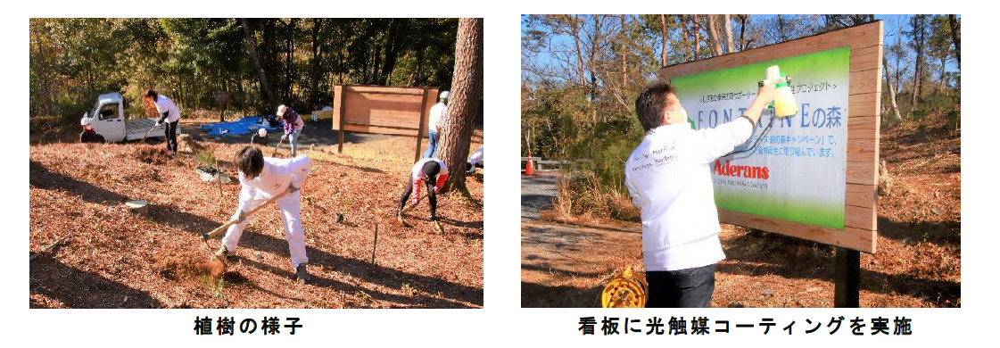 森のキャンペーン