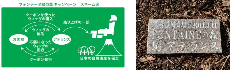 フォンテーヌ森のキャンペーン