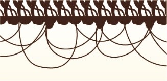 ぴったりキレイレース