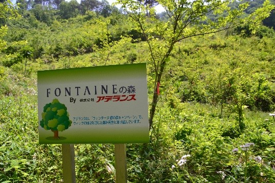 フォンテーヌの森看板