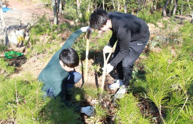 苗木を植樹する様子