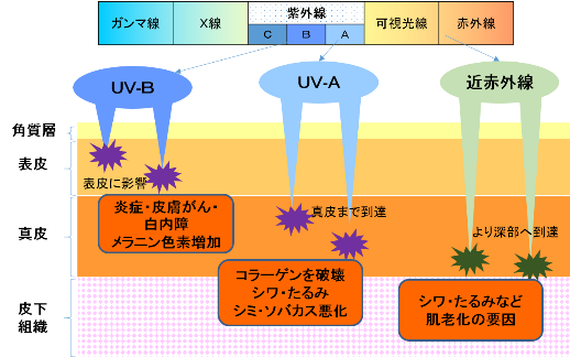 ビューステージ UV プロテクト プレミアムsp